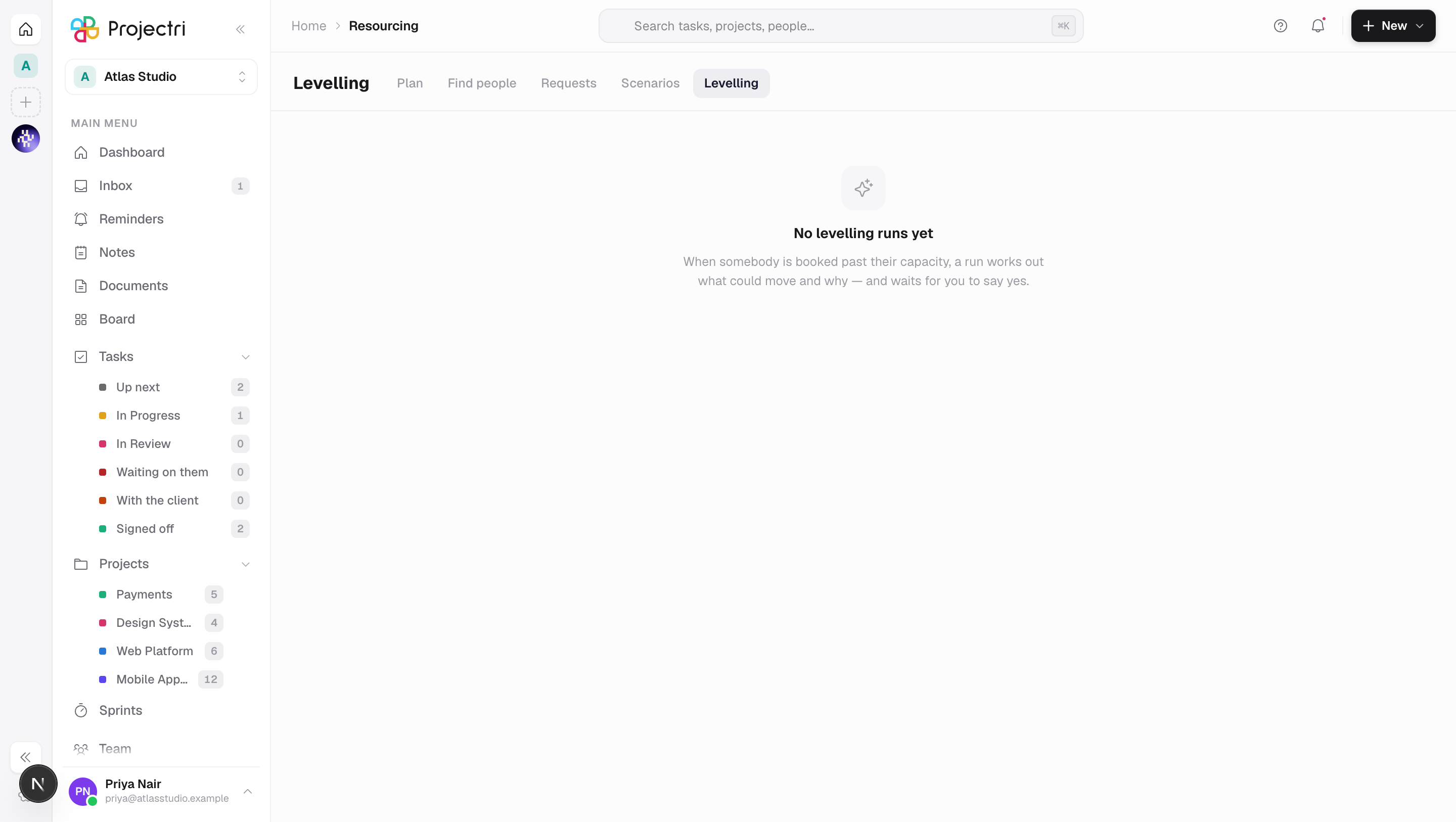 A screenshot of Levelling in Projectri
